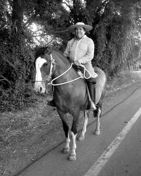 Huaso a caballo con manta y sombrero